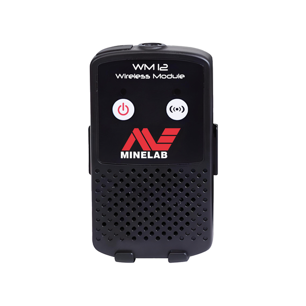 Módulo de audio inalámbrico WM12